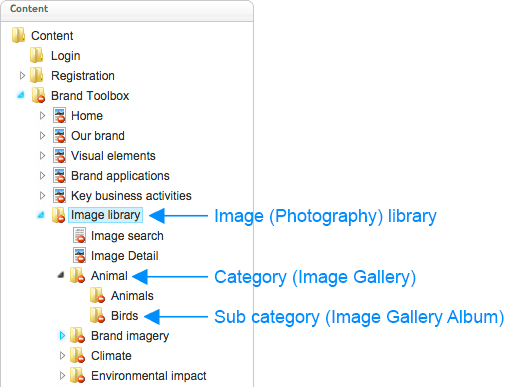 Brand Toolbox Version 3.1 Image library Category and Subcategory nodes