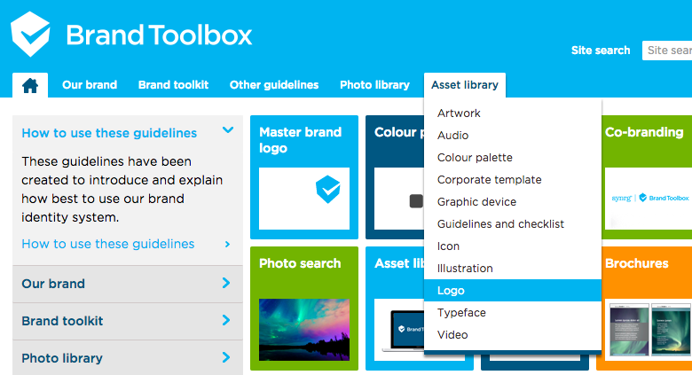 Asset Types Automatically Display In Navigation Menu