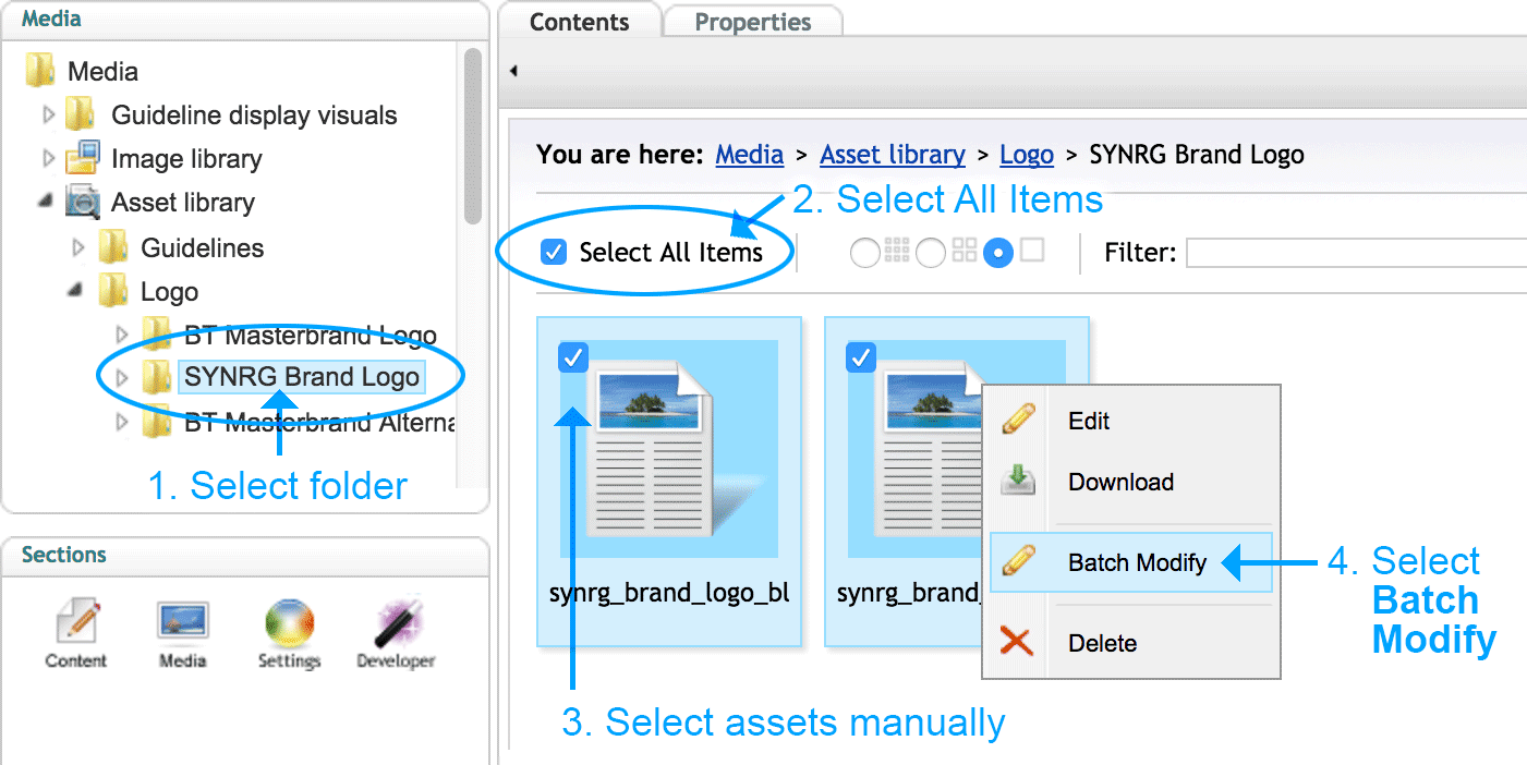 Select Batch Modify