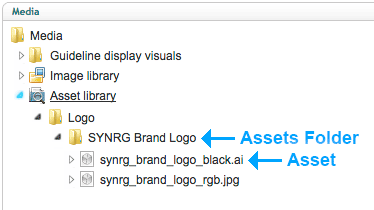 Asset library structural differences