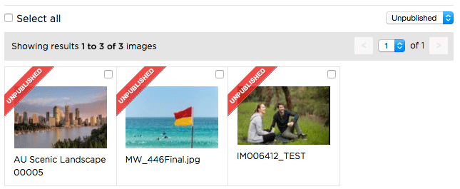 Enable Frontend Image View Unpublished Items