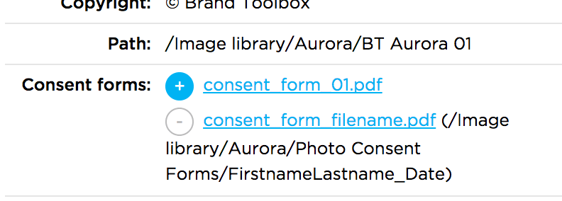 Consent Forms Frontend Detail