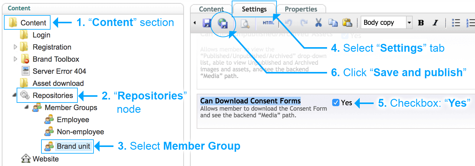 Consent Forms Enable Download Settings