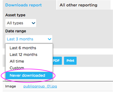 Downloads Report - Never downloaded assets