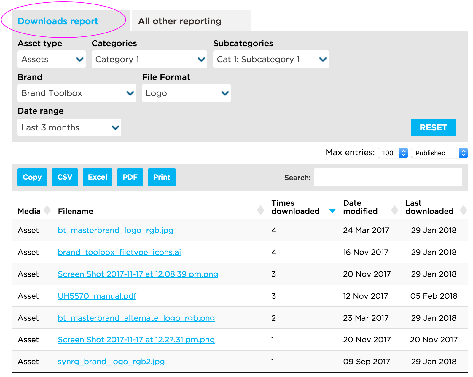 Downloads Report Assets