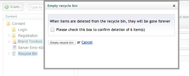 Brand Toolbox Empty Recycle Bin