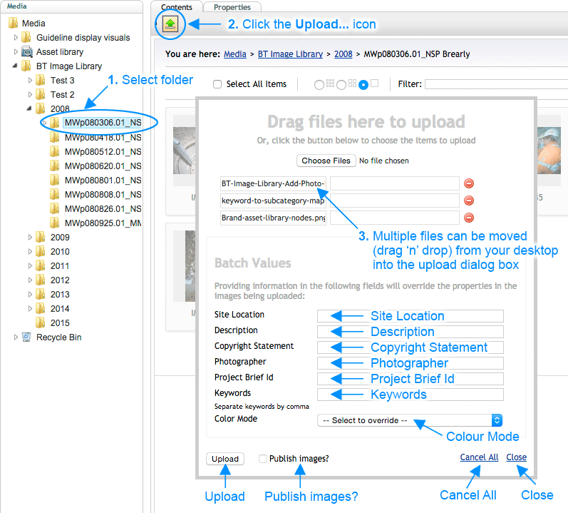 Brand Toolbox Version 3.1 Using the Image Uploader to upload images