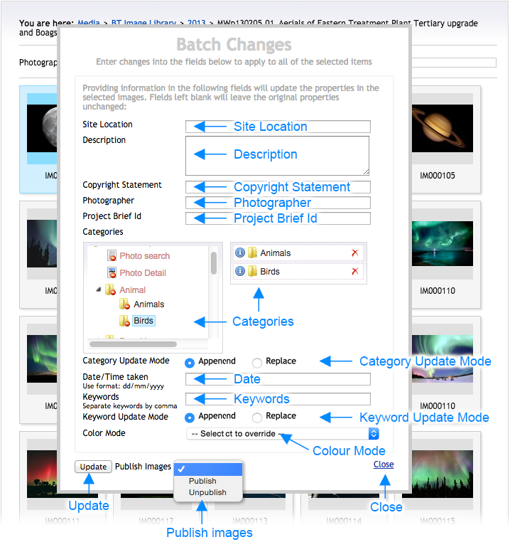 Brand Toolbox Version 3.1 Image Library Batch Changes