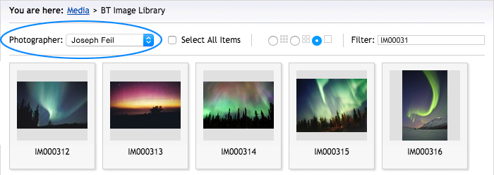 Brand Toolbox Version 3.1 Image Library photographer search tool