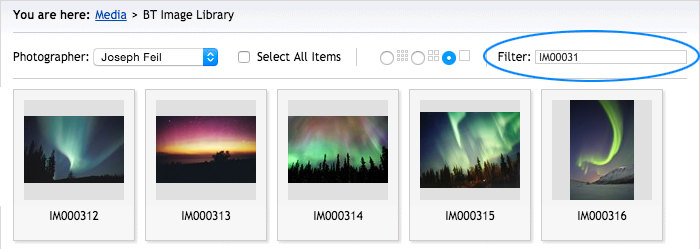Brand Toolbox Version 3.1 Image Library filter search tool