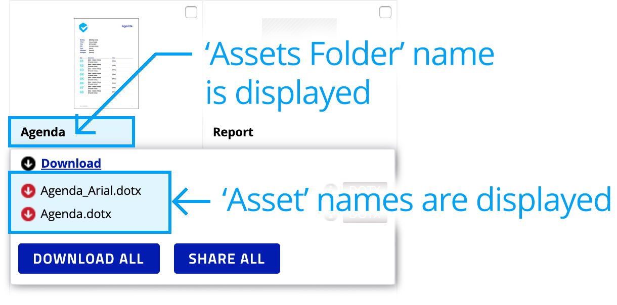 Asset library asset grouping structure frontend