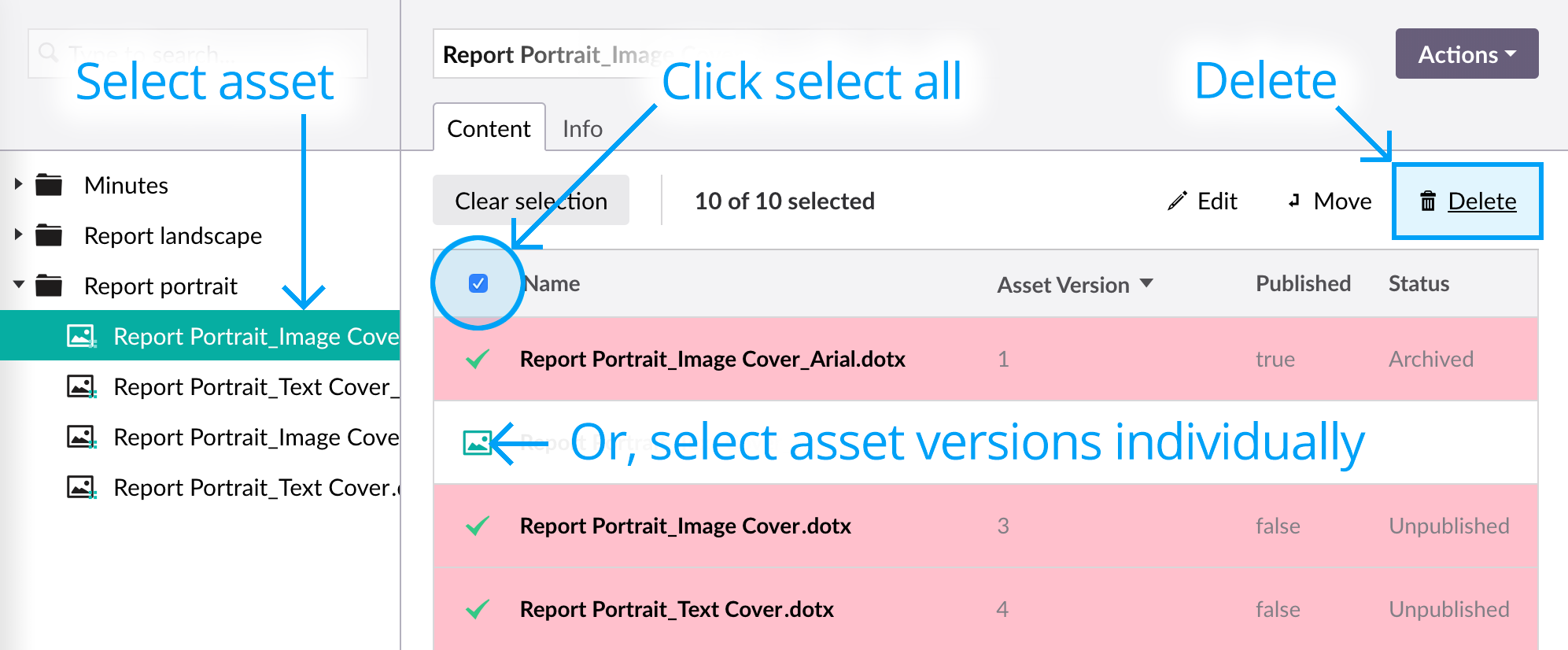 Deleting asset versions in batch