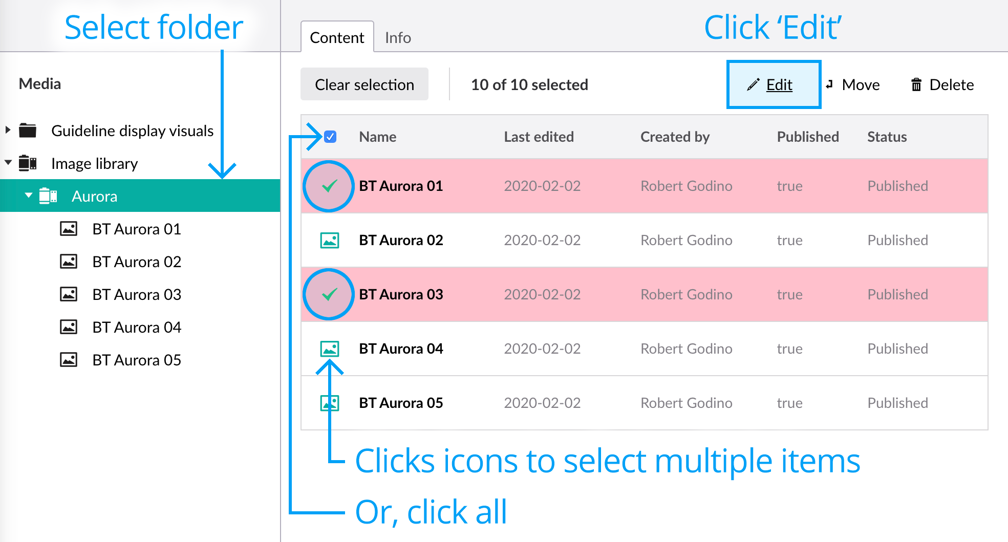 Select multiple images in the image library